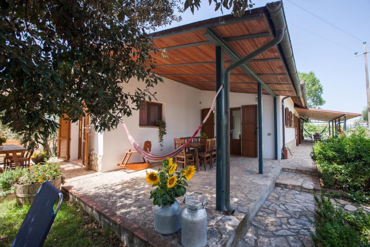 Agriturismo Fontetrilla Farm stay